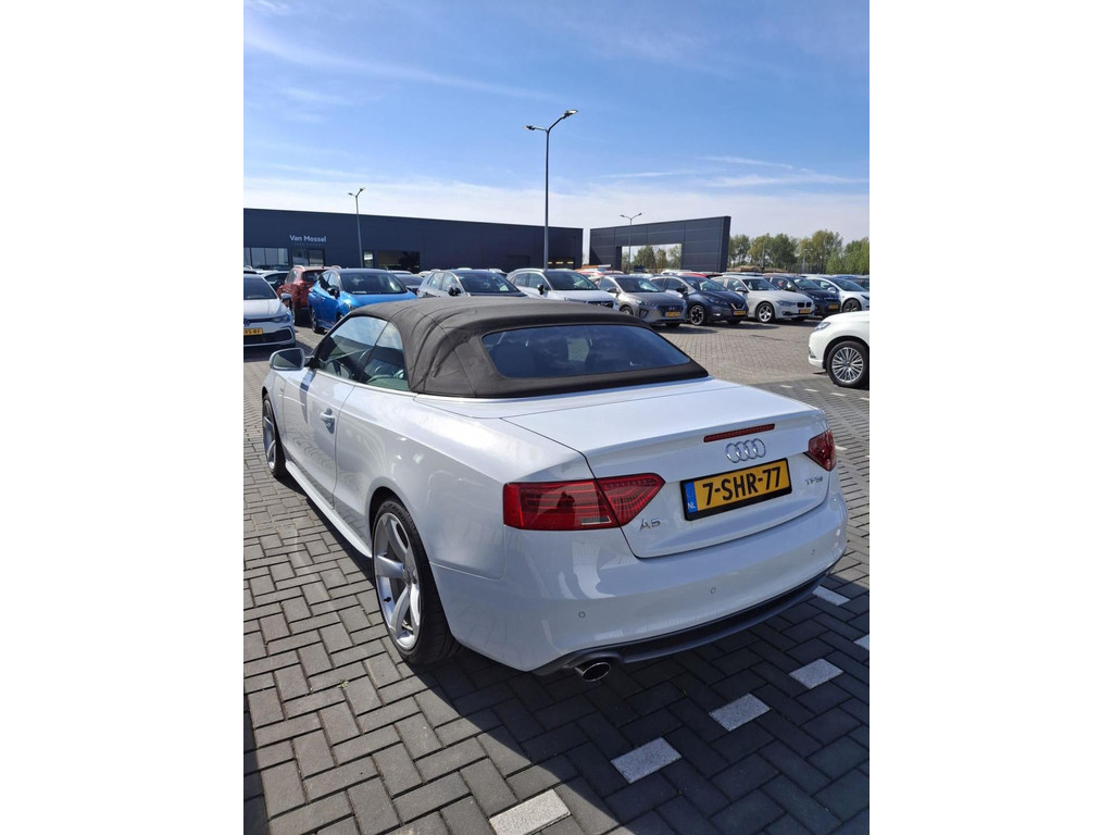 44567093-5.jpg